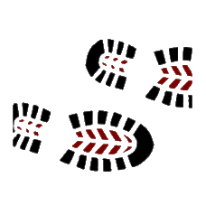 By Foot
